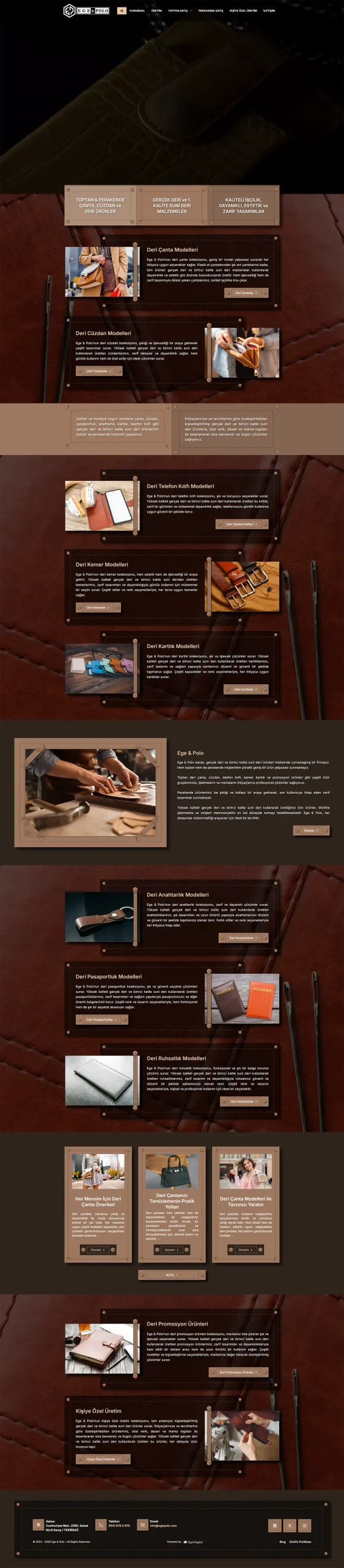 Ege Polo Web Tasarım Hizmeti
