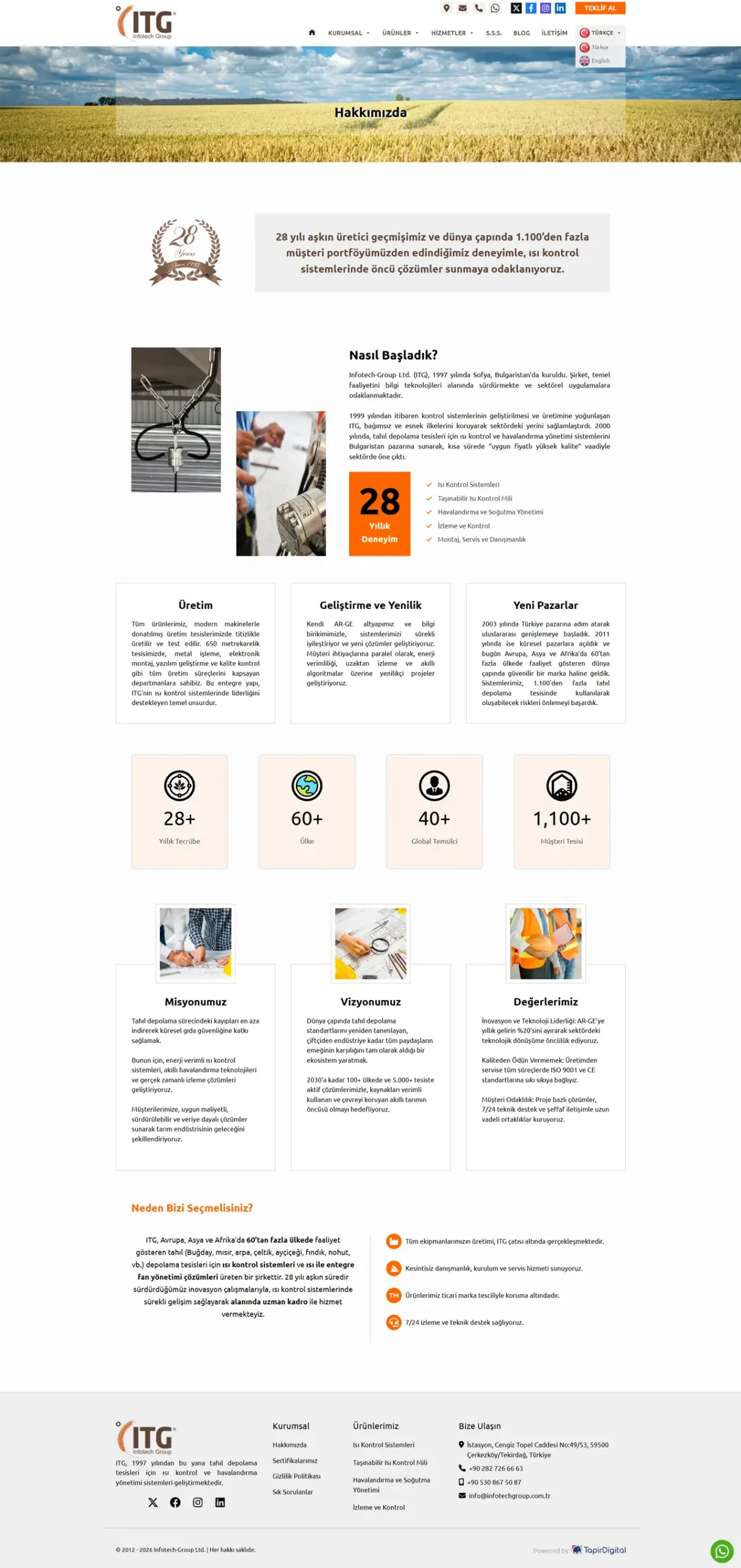 Infotech Group Web Tasarım Hizmeti