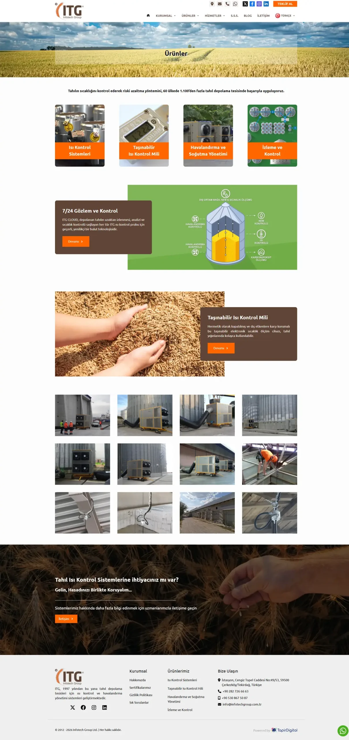 Infotech Group Web Tasarım Hizmeti