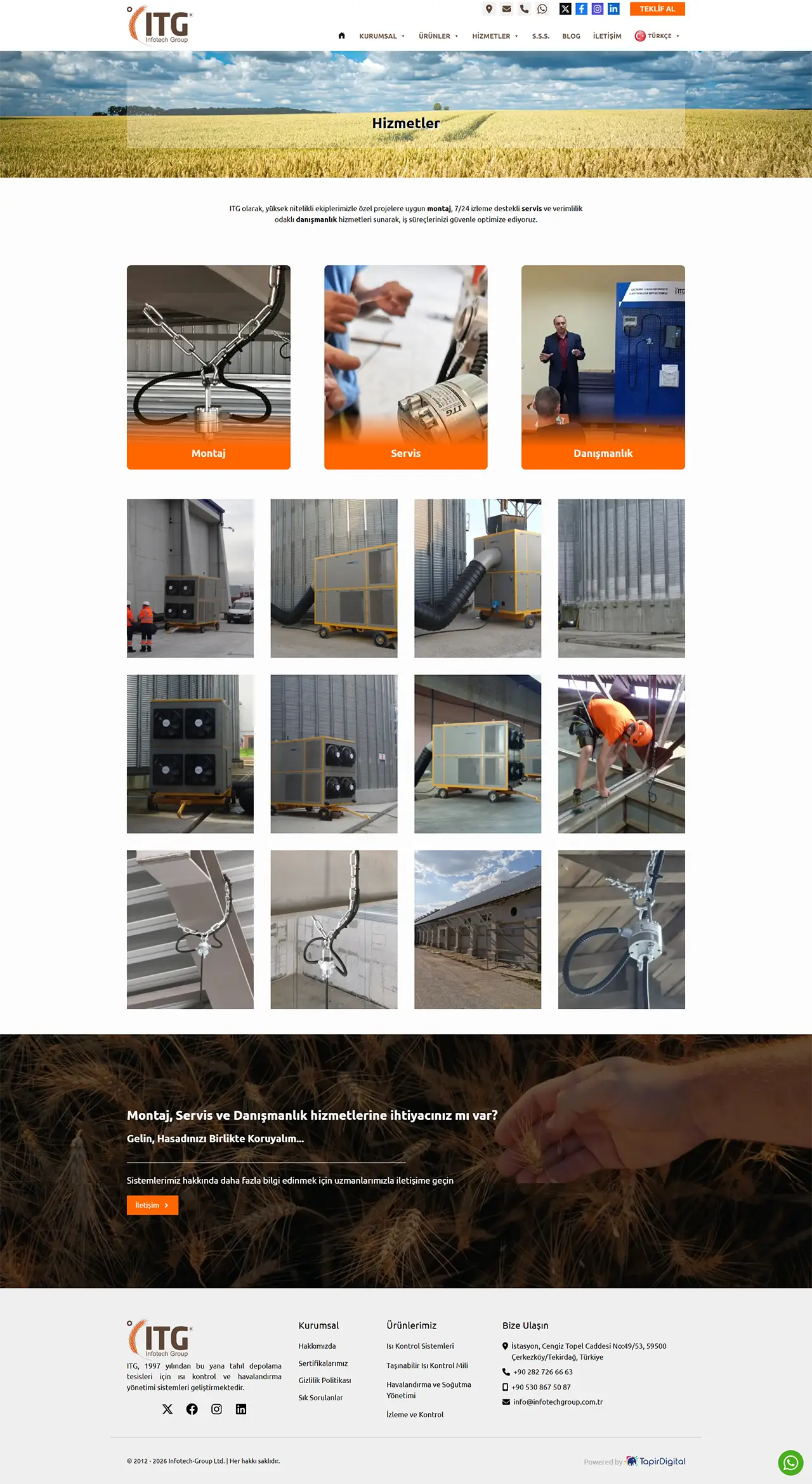 Infotech Group Web Tasarım Hizmeti